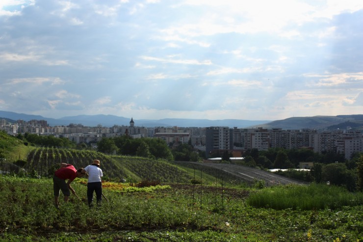 Folyik a munka az Eco Ruralis génbankként működő kertjében. Fotó: arc2020.eu