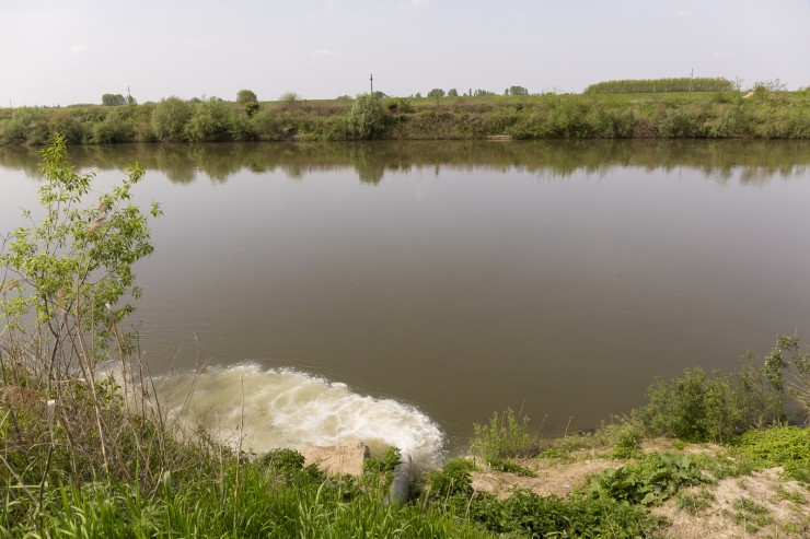 Apă reziduală de culoare alburie se revarsă în Someş nu departe de uzina de la Vetiş. Foto: Csaba Móricz