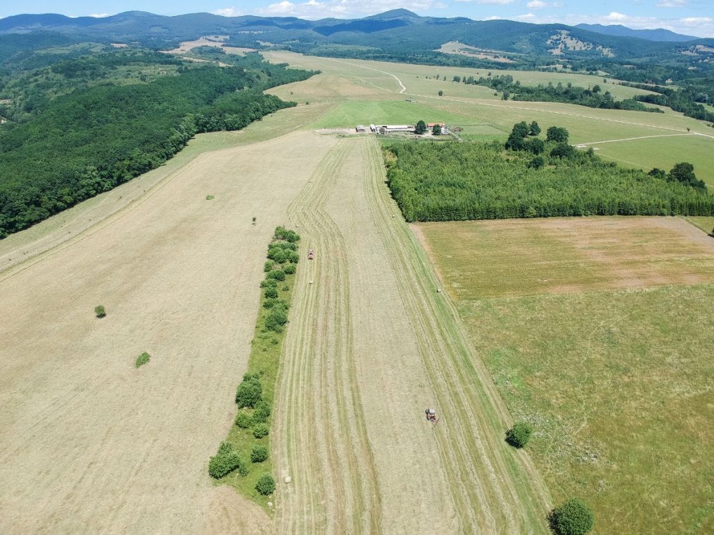 A farm, amiről a helyiek azt beszélik, a polgármester családjáé. Fotó: Egyed Ufó Zoltán