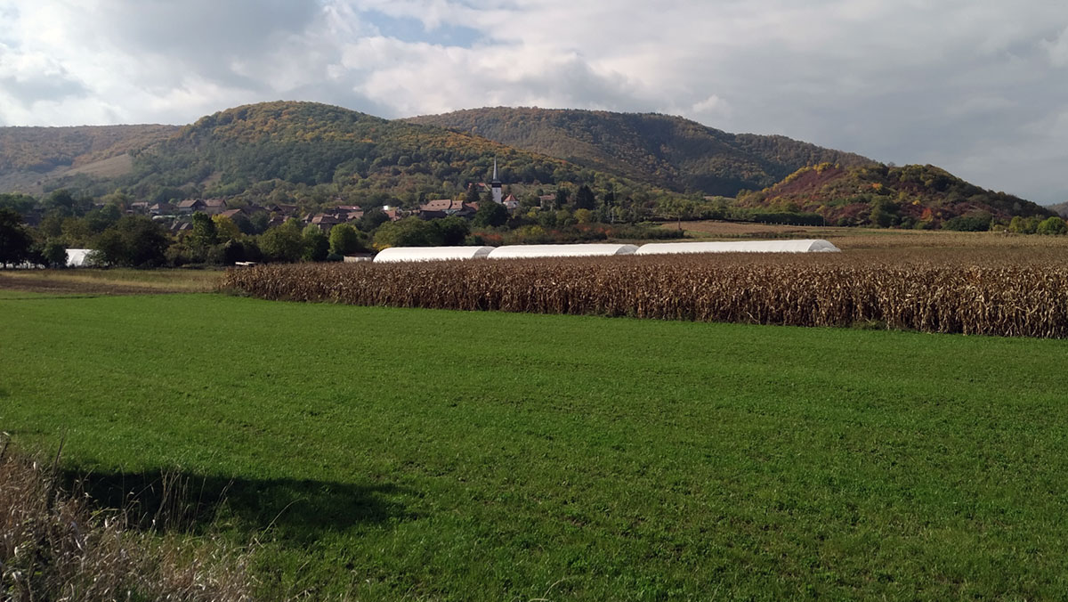 Mezőgazdaság turizmus